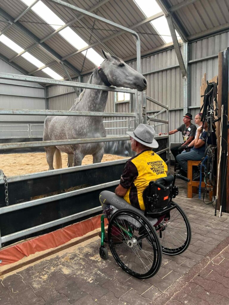 Pauly looks at a grey horse during a horse aid event. 