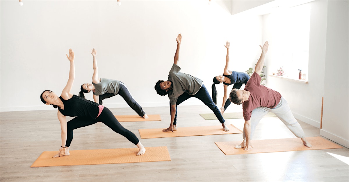 Private Corporate & Large Group Yoga Sessions — kat sholan sun